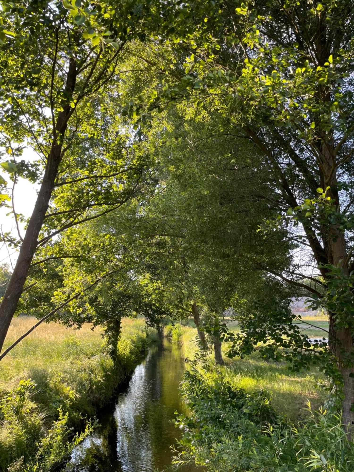 Guesthouse With 3 Apartments, Just Outside Berlin, Near To Tesla Burig ภายนอก รูปภาพ