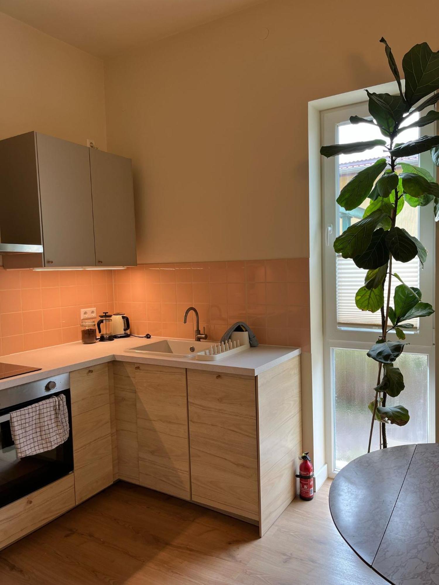 Guesthouse With 3 Apartments, Just Outside Berlin, Near To Tesla Burig ภายนอก รูปภาพ